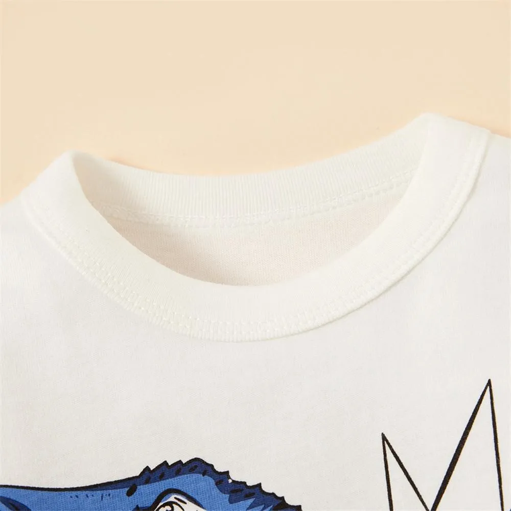 Boys Long Sleeve Color Block Dino Letter Printed Tees