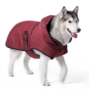 CLASSIC DOG TRENCH COAT MAROON