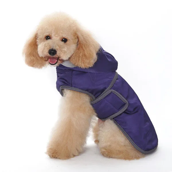 CLASSIC DOG TRENCH COAT PURPLE
