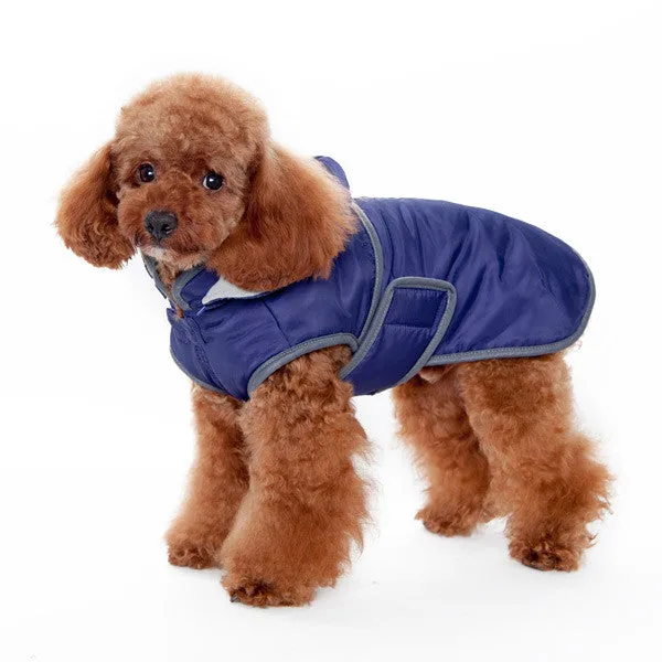 CLASSIC DOG TRENCH COAT PURPLE