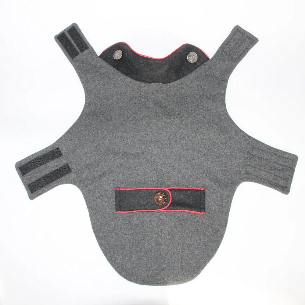Dachshund wool jacket Rosi