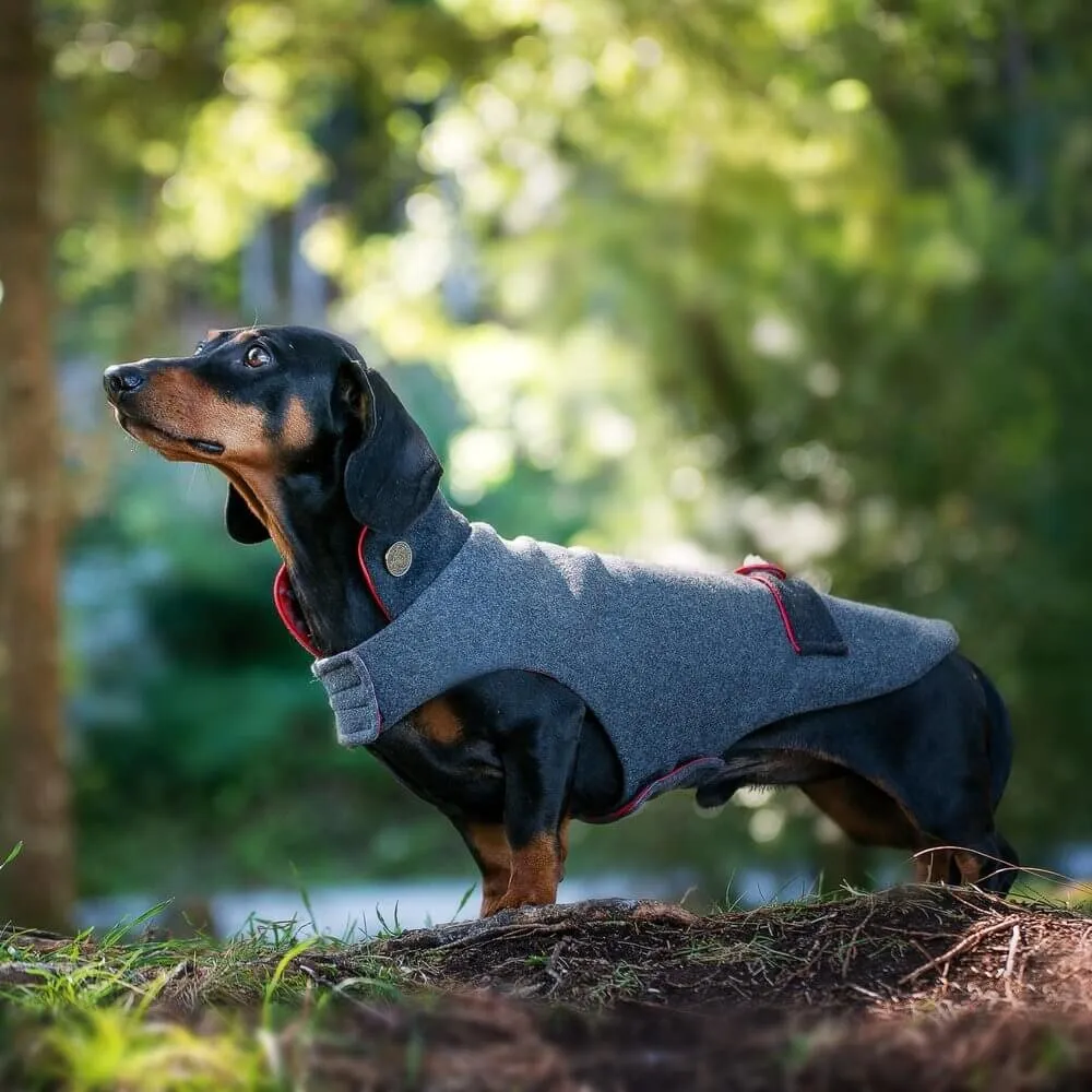 Dachshund wool jacket Rosi