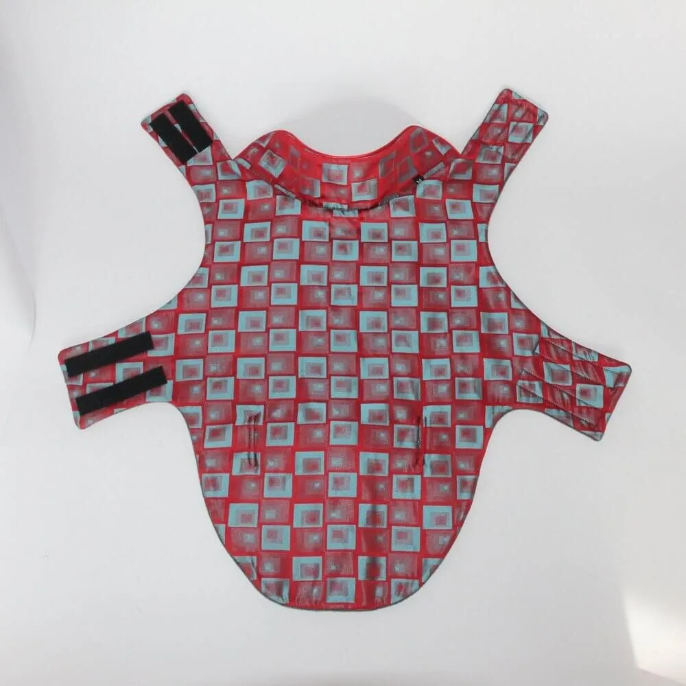 Dachshund wool jacket Rosi