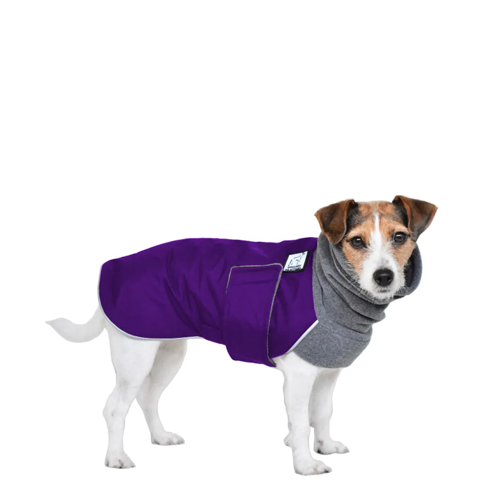 Jack Russell Terrier Winter Coat
