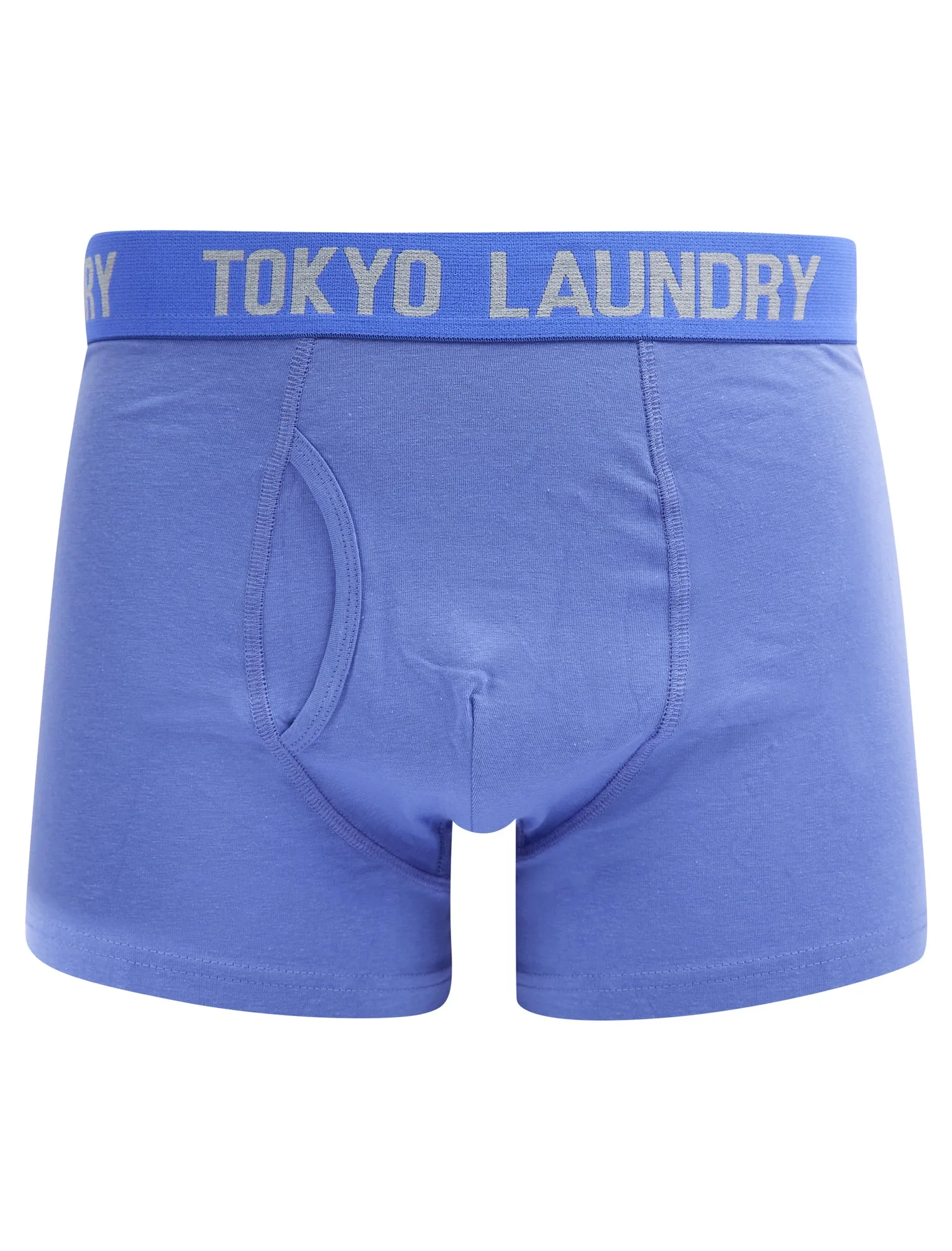 Saxen (2 Pack) Boxer Shorts Set in Baja Blue / Light Grey Marl - Tokyo Laundry